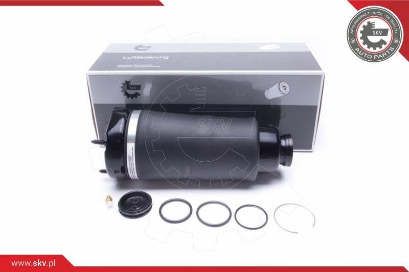 Air Suspension Strut 58SKV066