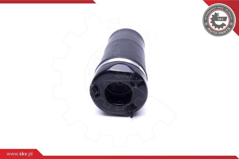 Air Suspension Strut 58SKV066 - image 2
