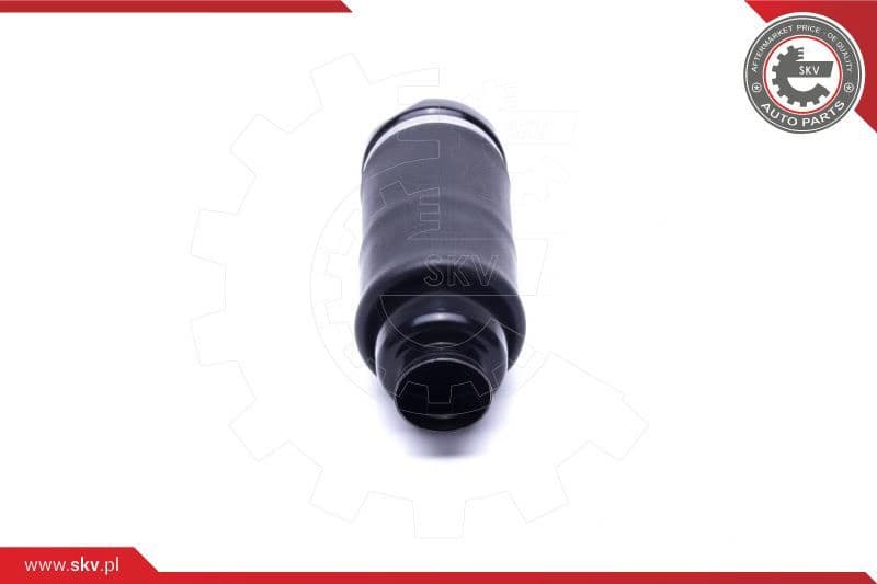 Air Suspension Strut 58SKV066 - image 3