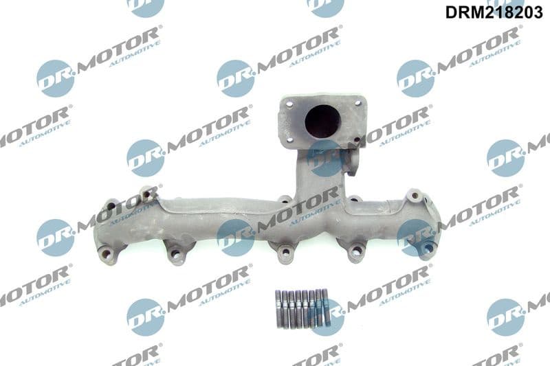 Manifold, exhaust system DRM218203