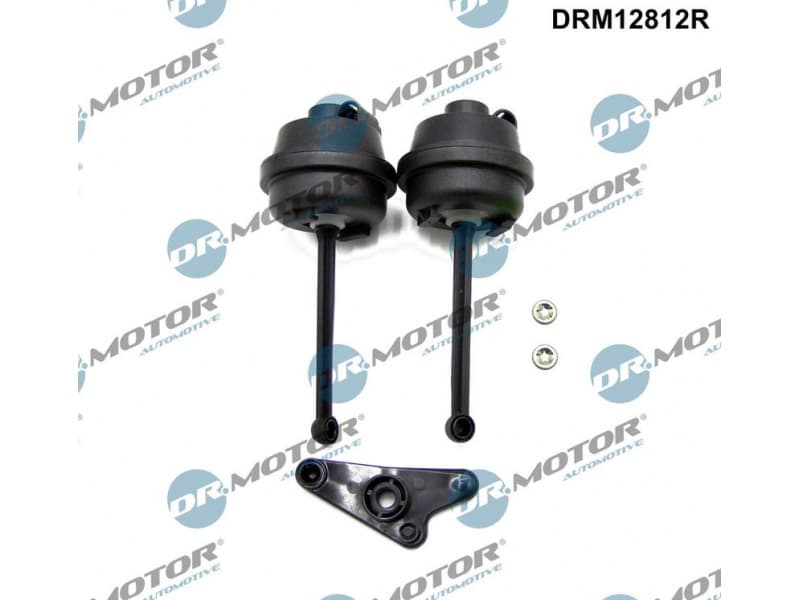Repair Kit, intake manifold module DRM12812R