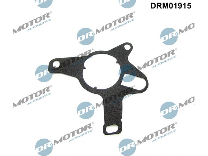 Gasket, vacuum pump DRM01915