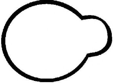 Gasket, intake manifold 71-29486-00
