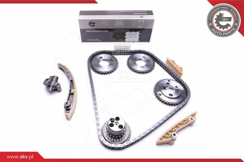 Timing Chain Kit 21SKV247