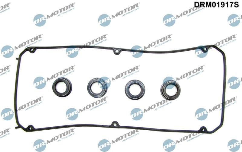 Gasket Set, cylinder head cover DRM01917S