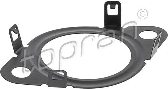 Gasket, EGR valve 601 396