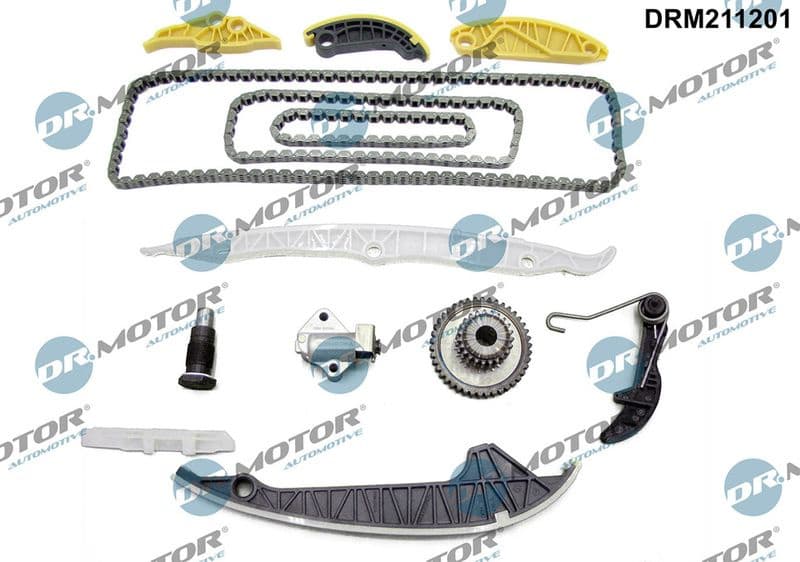Timing Chain Kit DRM211201