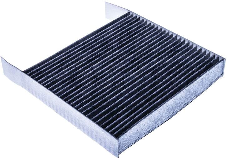 Filter, cabin air M110991K