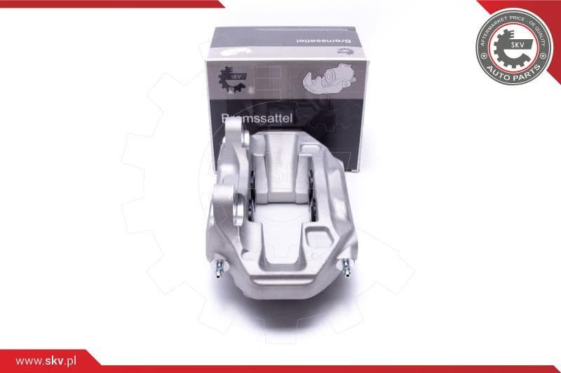 Brake Caliper 42SKV411