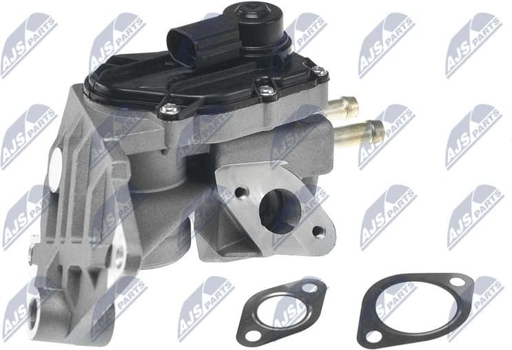 EGR Valve EGR-AU-011