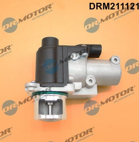 EGR Valve DRM211121