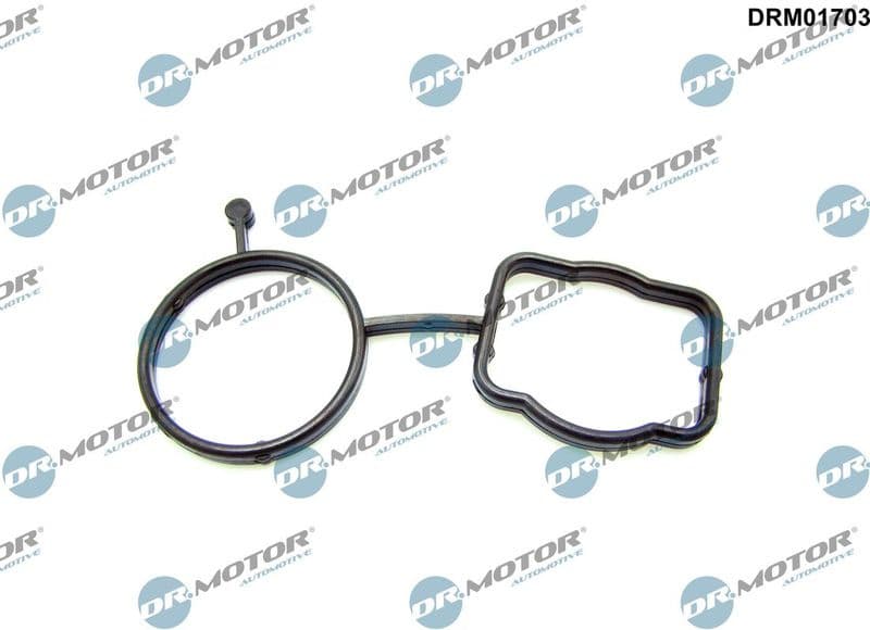 Gasket, thermostat housing DRM01703