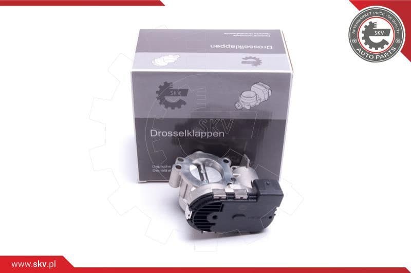 Throttle Body 12SKV119