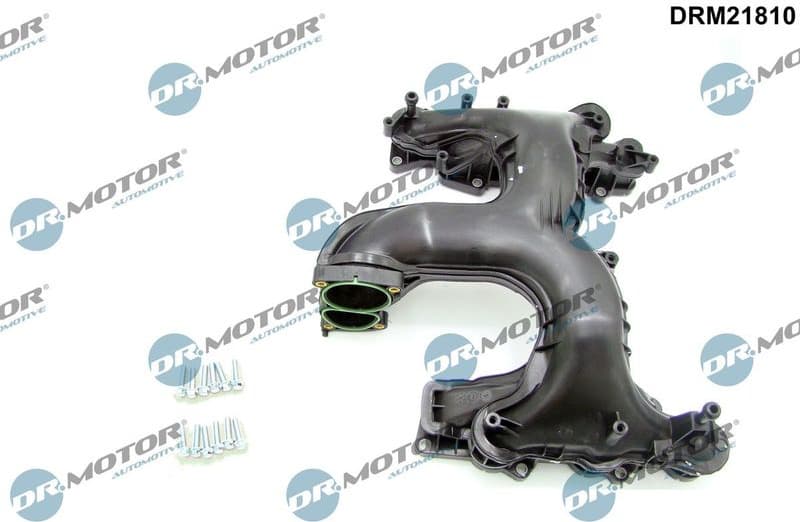 Intake Manifold Module DRM21810