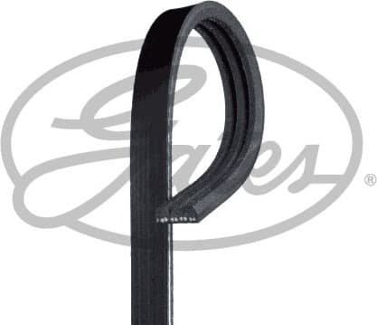 V-ribbed Belt Micro-V® Stretch Fit™ 3PK592SF