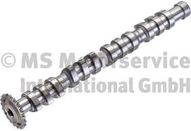 Camshaft 50007581