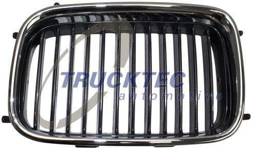 Radiator Grille 08.62.222