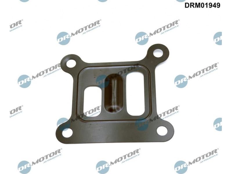 Gasket, water pump DRM01949