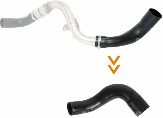 Charge Air Hose 166244