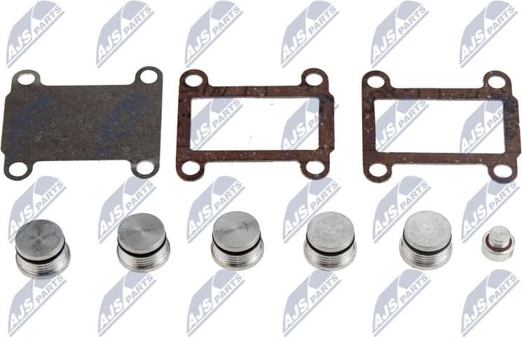 Repair Kit, intake manifold module BKS-FT-007