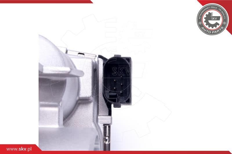 Throttle Body 12SKV118