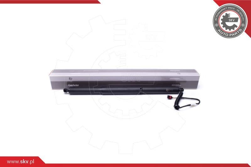 Electric Motor, tailgate 52SKV903