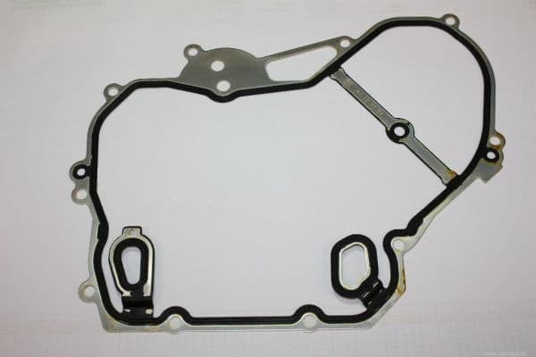 Gasket, timing case 190072910