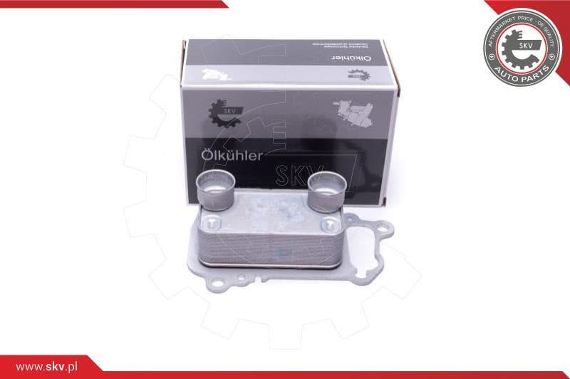Oil Cooler, engine oil 31SKV225