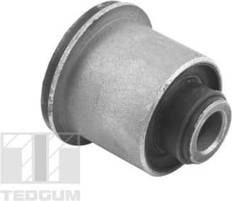 Mounting, control/trailing arm TED96124