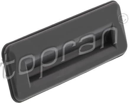 Tailgate Handle 620 031