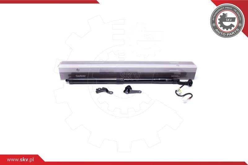 Electric Motor, tailgate 52SKV916