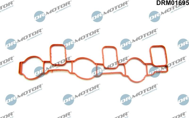 Gasket, intake manifold DRM01695