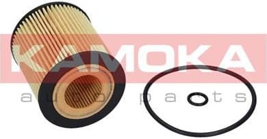 Oil Filter F110201 - image 6