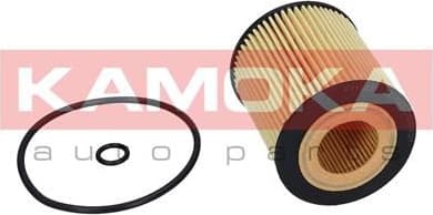 Oil Filter F110201 - image 8