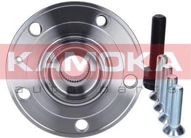 Bearing wheel 5500069
