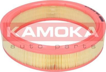 Air Filter F210901 - image 6