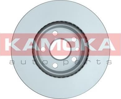 Brake discs kit front (2pcs) 1031086 - image 2