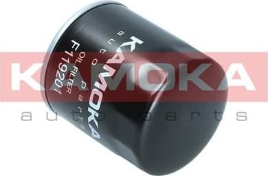 Oil Filter F119201 - image 6