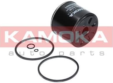 Fuel Filter F302001 - image 6