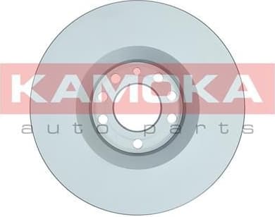 Brake discs kit front (2pcs) 1031125 - image 2
