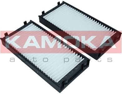 Filter, cabin air F421101 - image 6