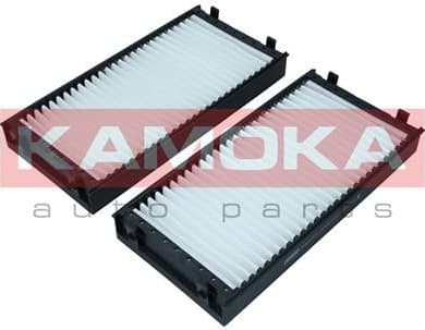 Filter, cabin air F421101 - image 7