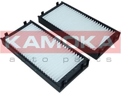 Filter, cabin air F421101 - image 8