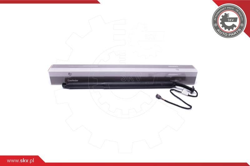 Electric Motor, tailgate 52SKV911