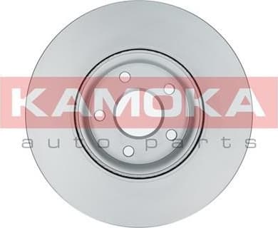 Brake Disc 1031016 - image 4