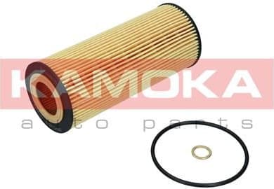 Oil Filter F106101 - image 9