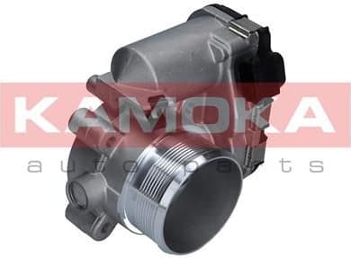 Throttle body 112043