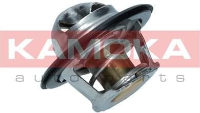 Thermostat, coolant 7710053 - image 6