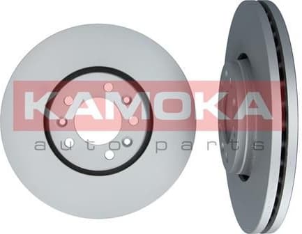 Brake discs kit front (2pcs) 1031053