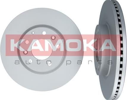 Brake discs kit front (2pcs) 1031087
